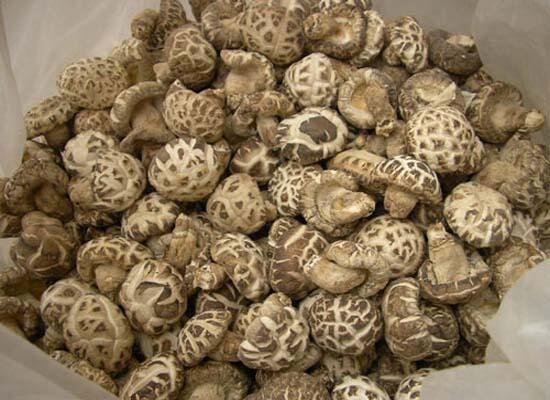 干貨類配送：冬菇/香菇