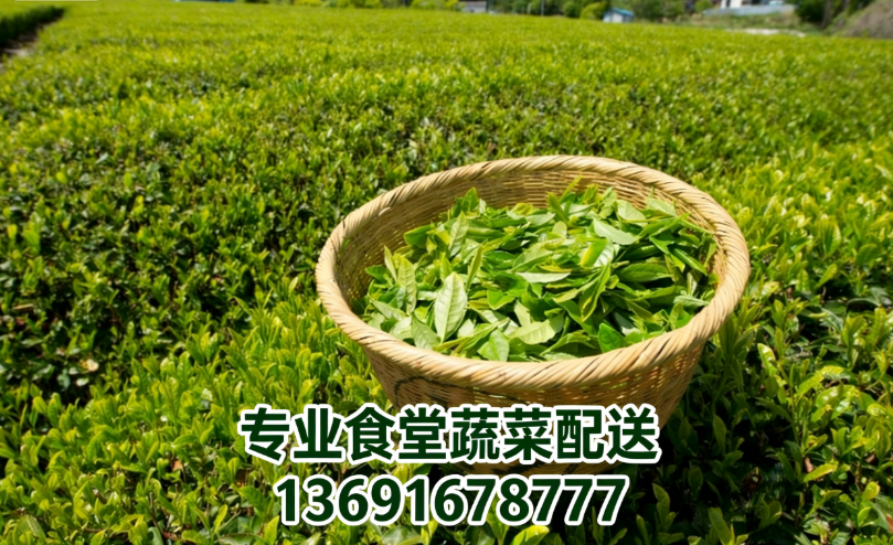 長期喝綠茶到底好不好？佳惠鮮送菜公司來為您解答！