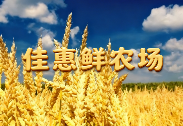 蔬菜配送中心?資訊播報(bào)：秋汛攔路！冬小麥播種仍破八成